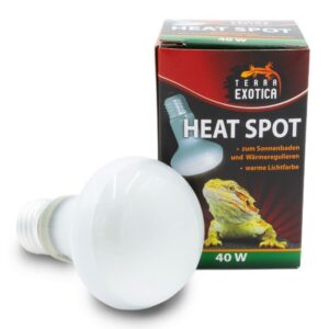 Heat Spot 40W 10er Pack Terrarium Wärmelampe Reflektorstrahler E27 Sonnenplatz