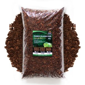 Forest Floor Pine - 20 Liter - Mittel