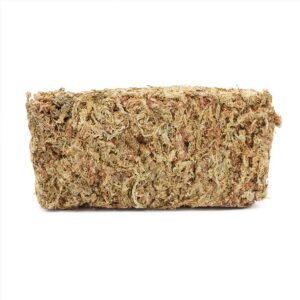 Sphagnum Moos 50g ca. 3L Orchideen Fleischfresser Kokedama Terrarium Stecklinge
