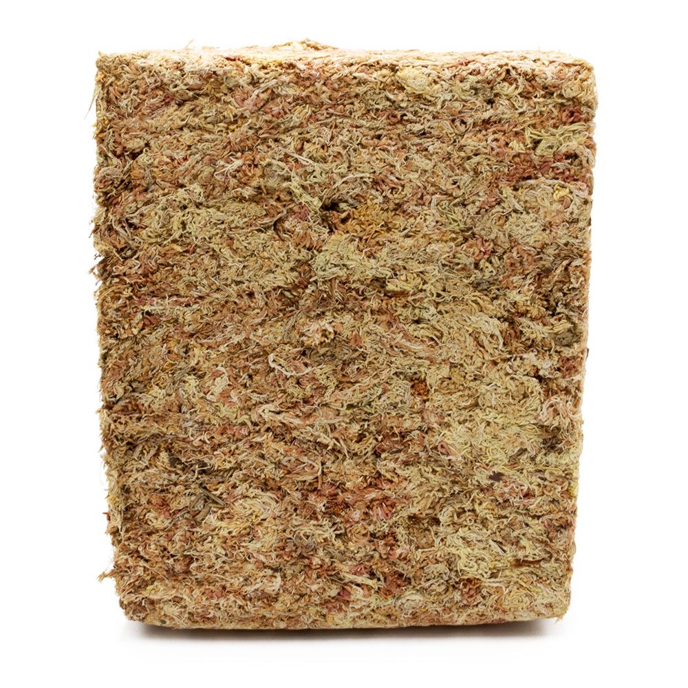 Sphagnum Moos ca. 500 g