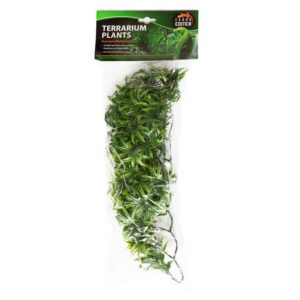 Terrarium Plants - Wind Claw Leaves Vine - Medium
